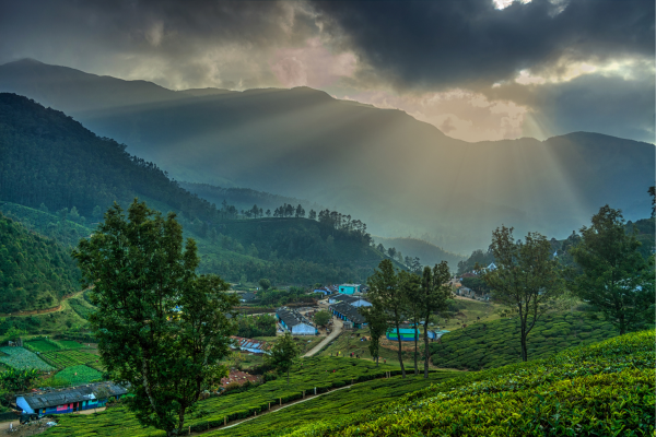 Top 10 Best Places to Visit in India in Summer 4 Best Places to Visit in India in Summer