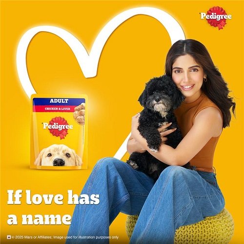 31791 1404 IPU EKSad6