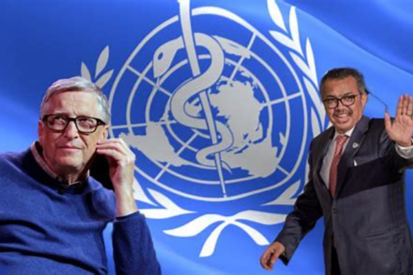 The Pandemic Treaty 2025: A Comprehensive Analysis 2 Pandemic Treaty 2025