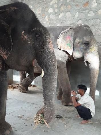 32200 worldanimal0506 C58TAJ