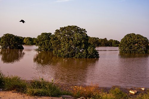 33149 impact image hVFQp6