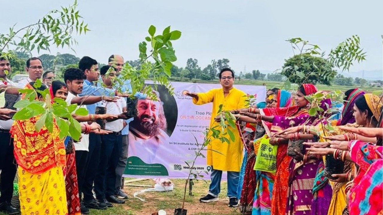 33684 TreePlantation SSRDP AOL mZILO2